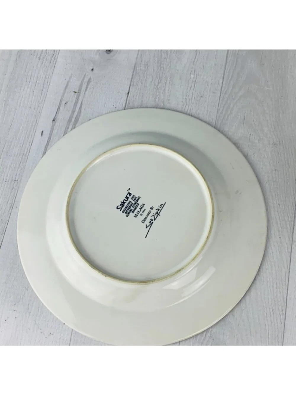 Sakura MALAGA Sue Zipkin Colorful Genuine Stoneware Salad Lunch Plates Set Three